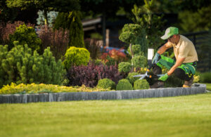 what does a gardener do